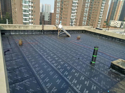 鄭西便民信息平臺 專業防水工程施工服務詳解與指南