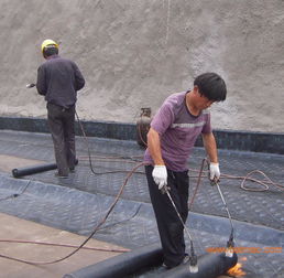 膠南專業(yè)防水服務(wù)全解析 從公司電話、廠家到工程價(jià)格與施工