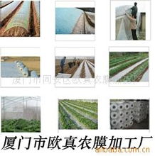 廈門市同安區歐真農膜加工廠農用薄膜產品列表