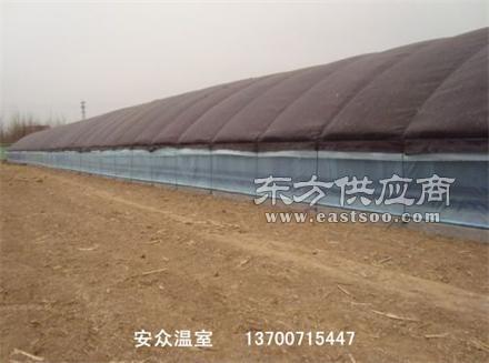 溫室大棚技術(shù)解析與一站式服務(wù)實(shí)踐——以吉林安眾商貿(mào)為例